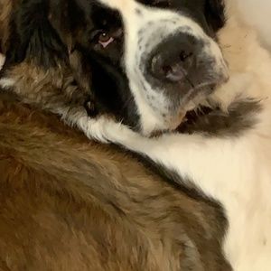 Meet your Posher, Pamela